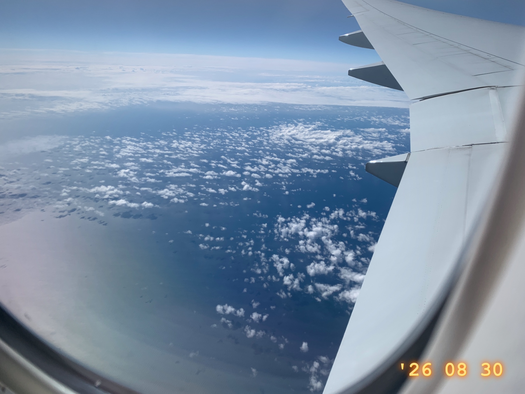 Der Flug nach San Francisco ✈️✈️✈️